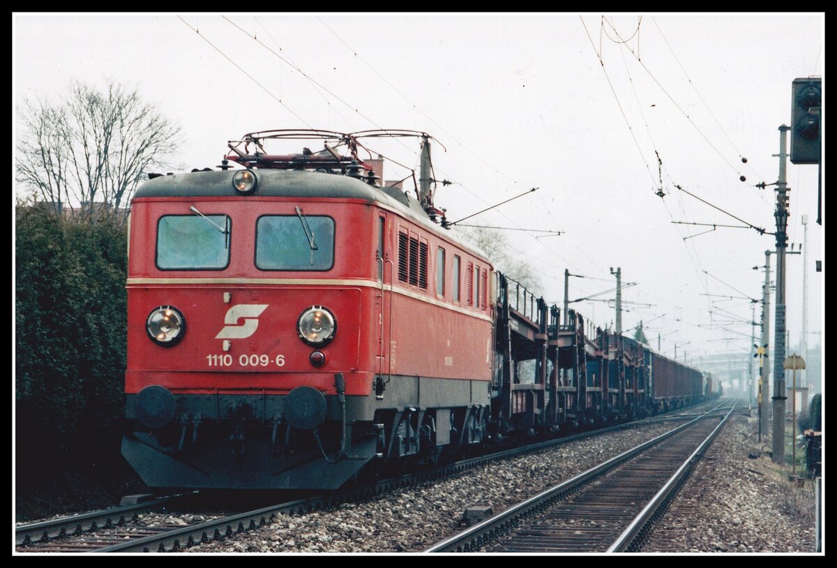 1110 009 fährt mit einem langen Güterzug in Bruck/Mur Abzweigung Stadtwald am 1.03.1995 durchs Murtal.