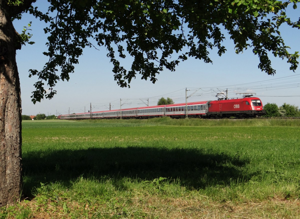 1116 010 und 1016 022 zu sehen am 05.06.15 mit dem EC 112 in Neu-Ulm.