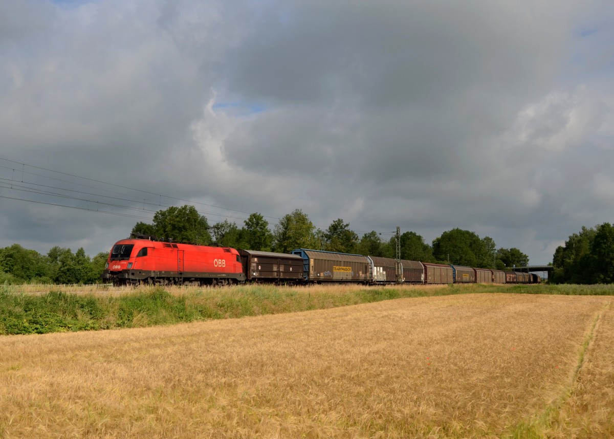 1116 027 mit dem Audizug am 04.07.2013 bei Langenisarhofen.