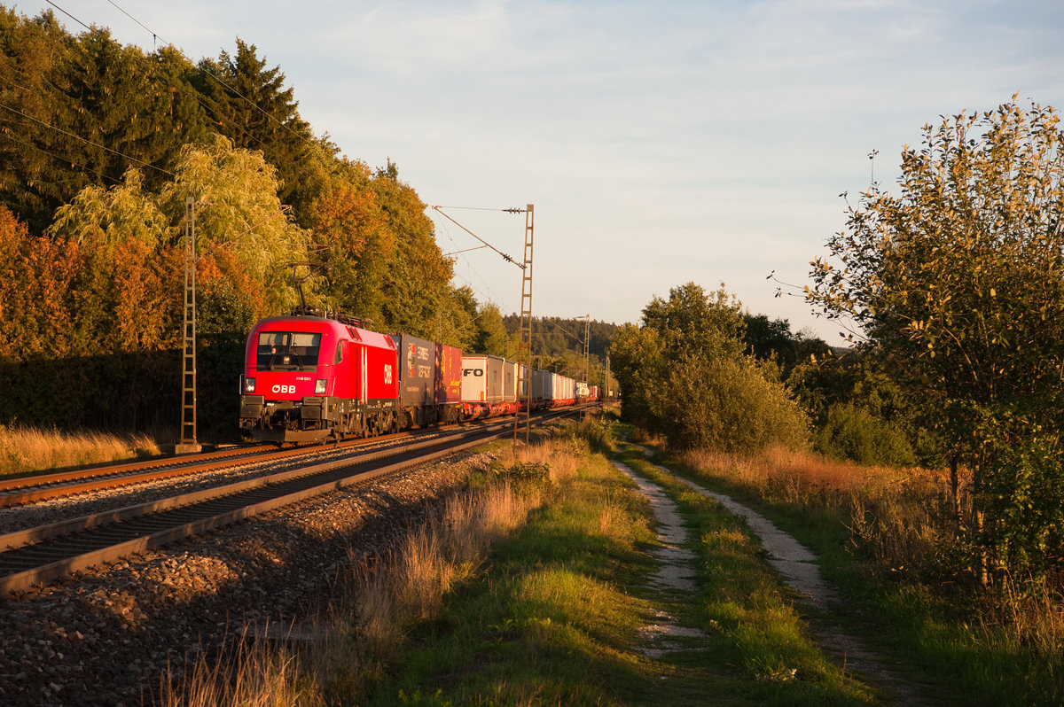 1116 031 mit einem KLV-Zug bei Postbauer-Heng Richtung Nürnberg, 11.09.2018