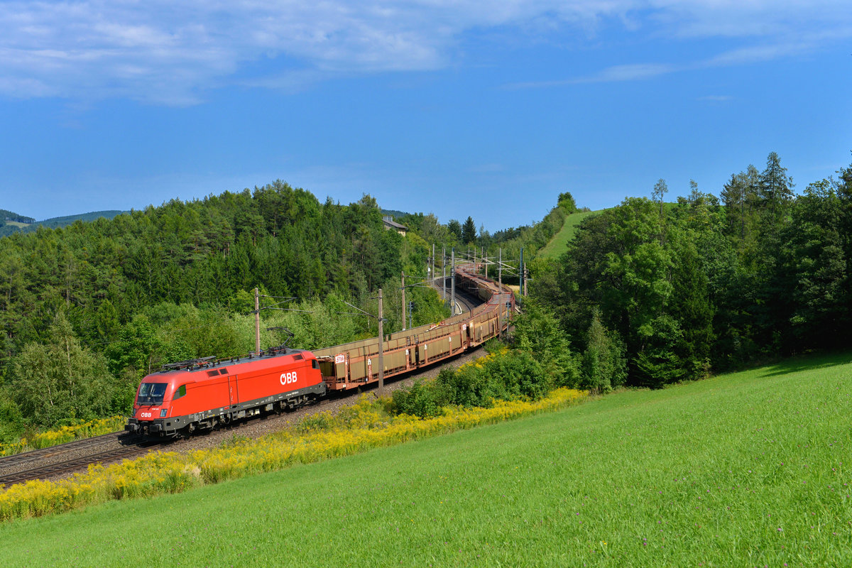 1116 031 mit einem leeren Autozug am 26.08.2017 bei Eichberg. 