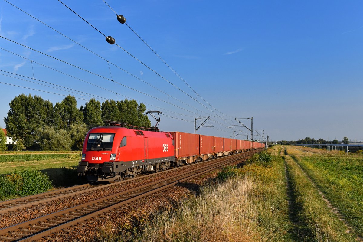 1116 043 mit DGS 40620 am 21.08.2018 bei Plattling. 