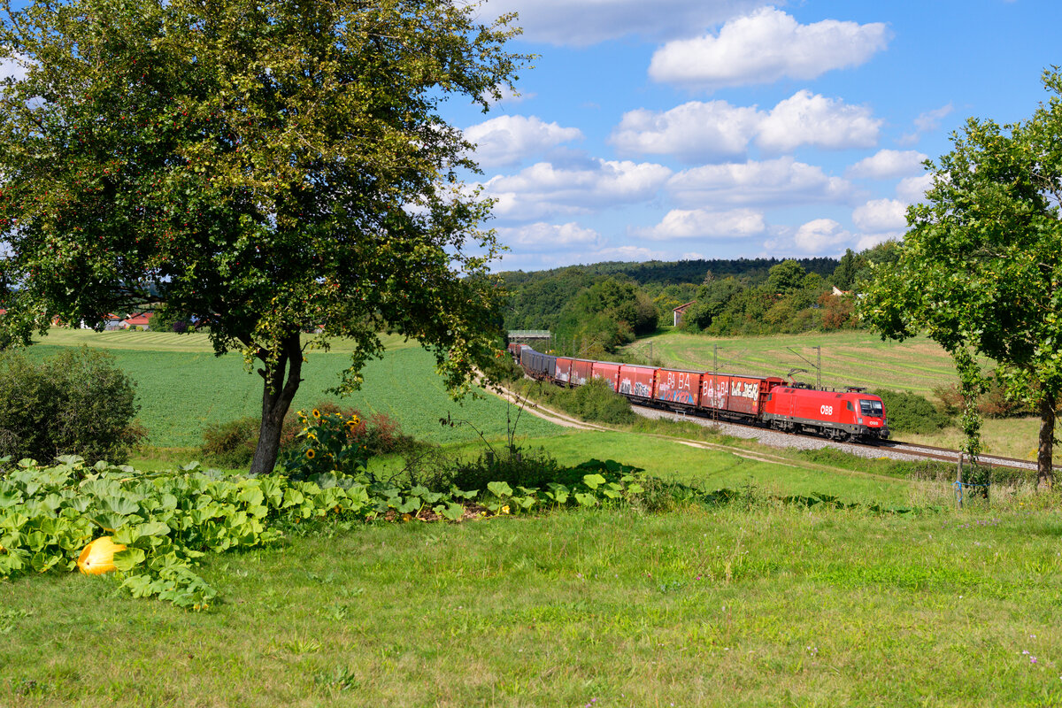 1116 065 ÖBB mit einem Autoteilezug bei Laaber Richtung Regensburg, 07.09.2020