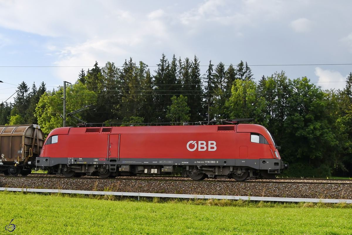 1116 080-3 zieht einen Güterzug in Richtung Österreichische Grenze. (bei Fuchsreut, August 2020)