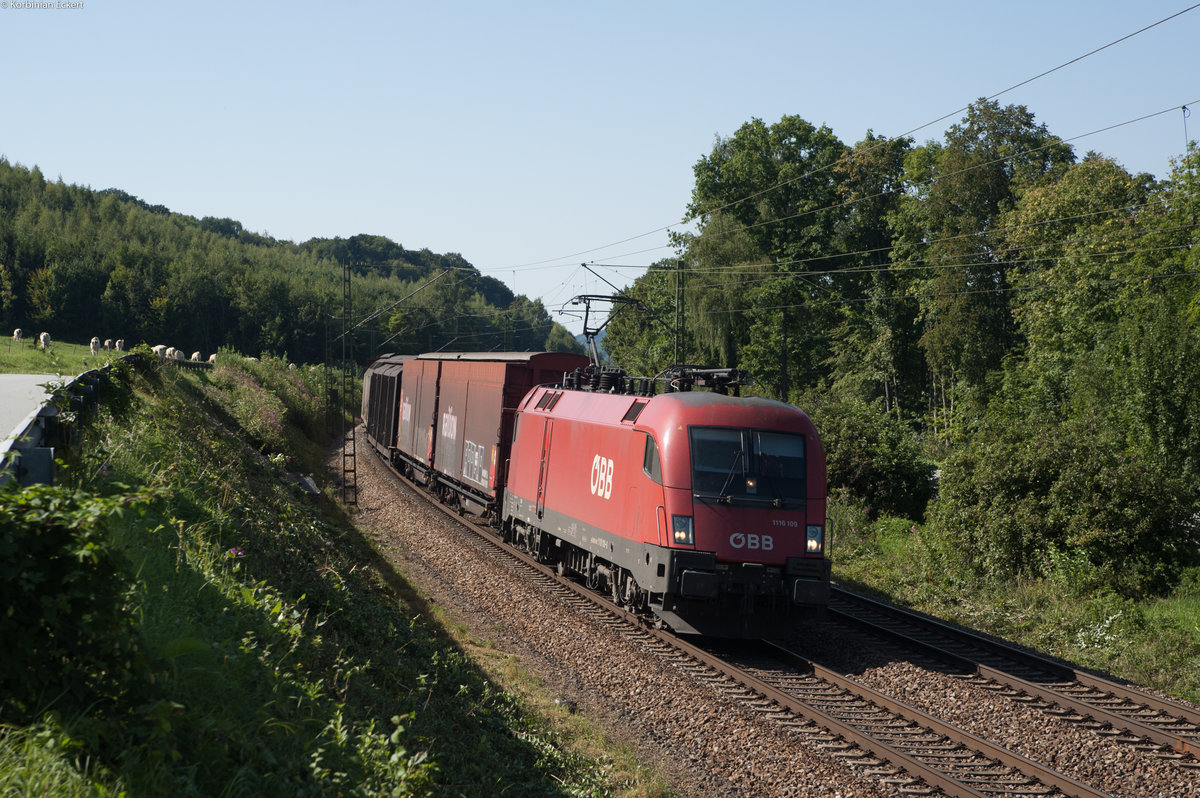 1116 109 mit einem gemischten Güterzug bei Hausbach Richtung Passau, 29.08.2017