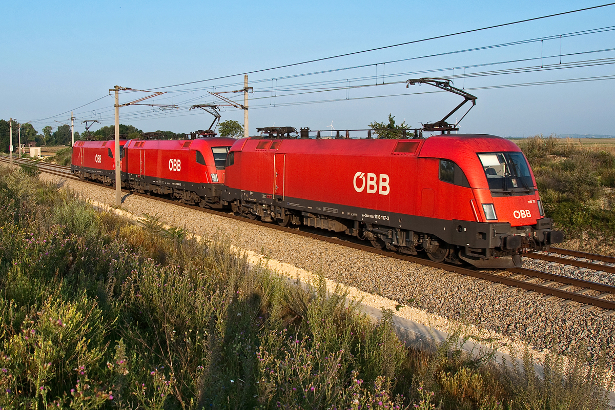 1116 117, an der Spitze eines Lokzuges in Richtung Norden. Die Aufnahm entstand bei Tallesbrunn, am Morgen des 03.08.2014.