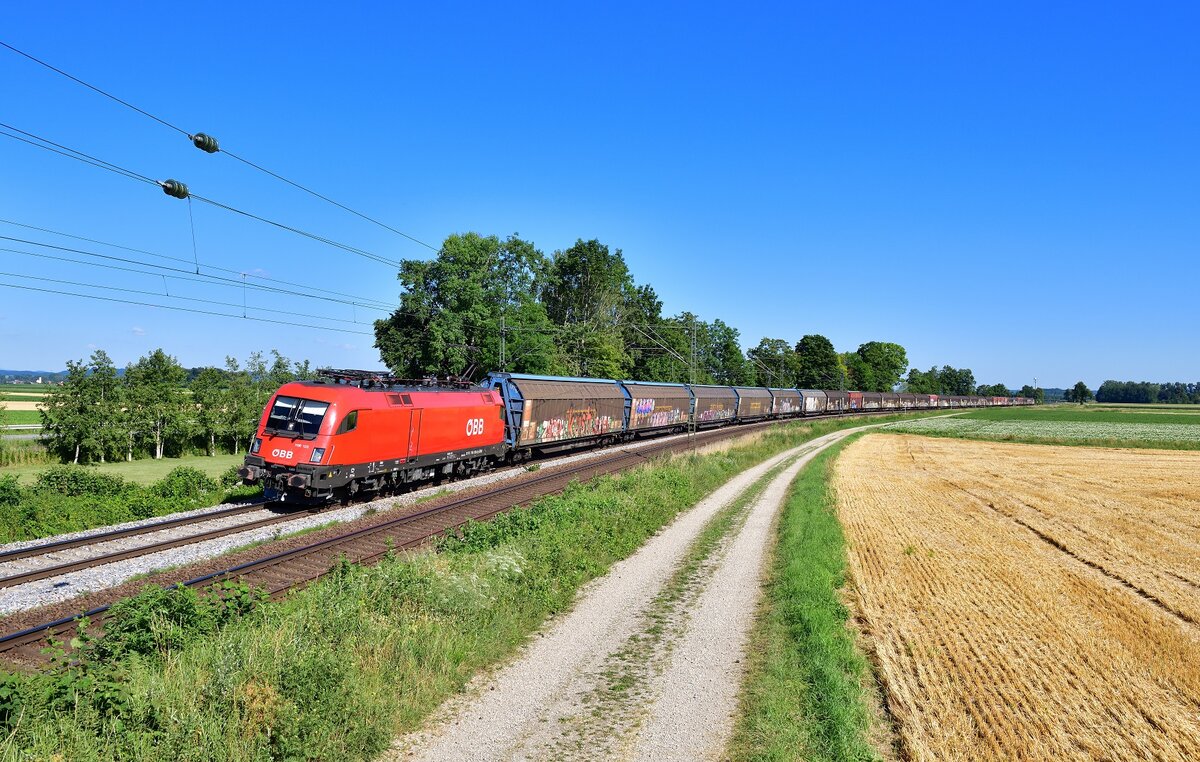 1116 133 mit einem Güterzug am 03.07.2022 bei Langenisarhofen.