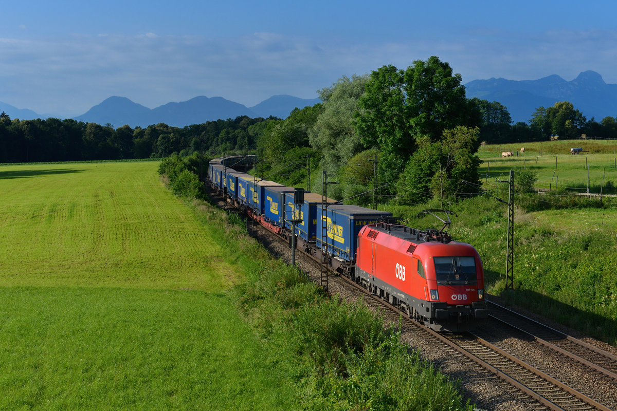 1116 136 mit einem Walter-KLV am 07.07.2016 bei Gutmart. 