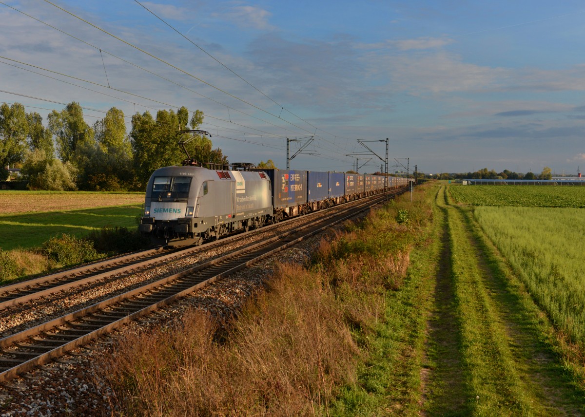 1116 141 mit einem Containerzug am 08.10.2015 bei Plattling. 