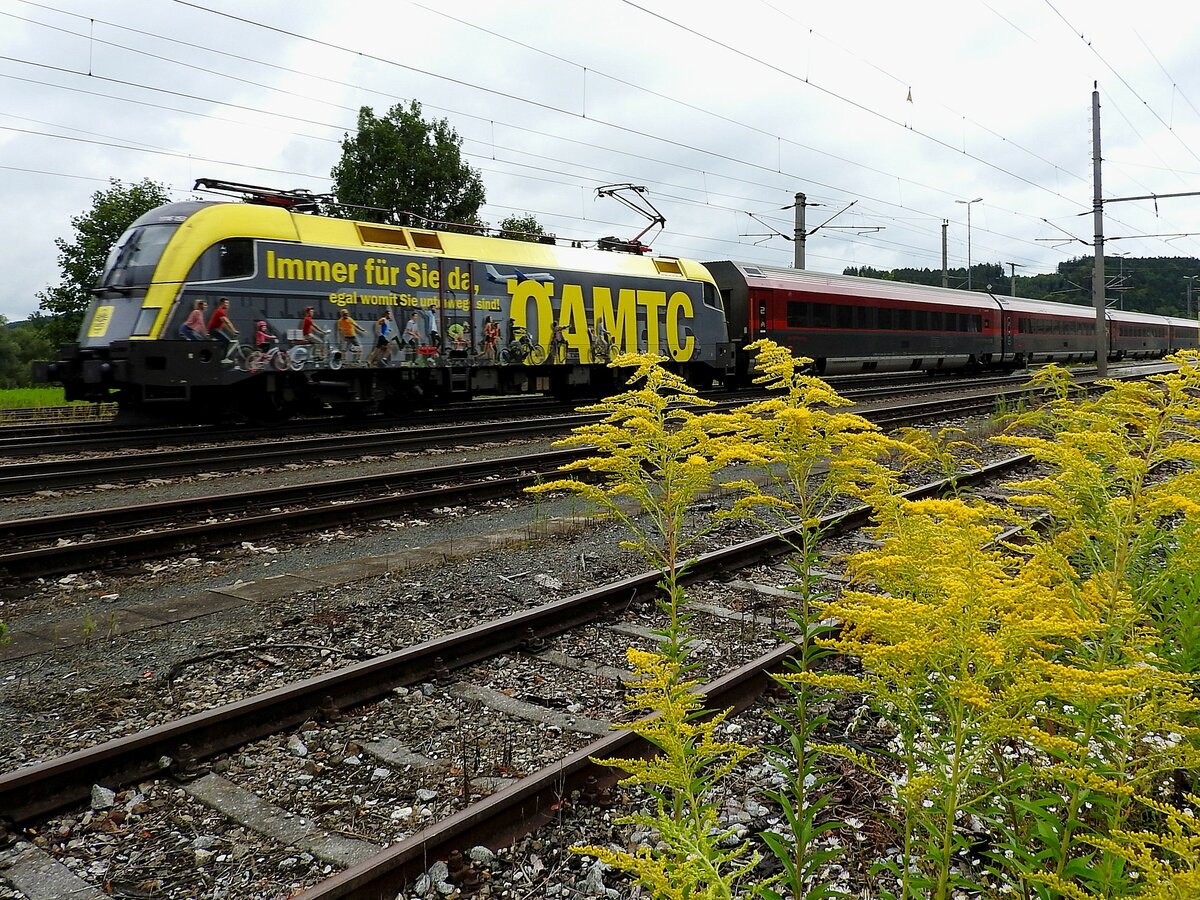 1116 153-8  ÖAMTC  mit Railjetgarnitur (um 10:09) in gelber Umgebung des Bhf. Timelkam; 210829