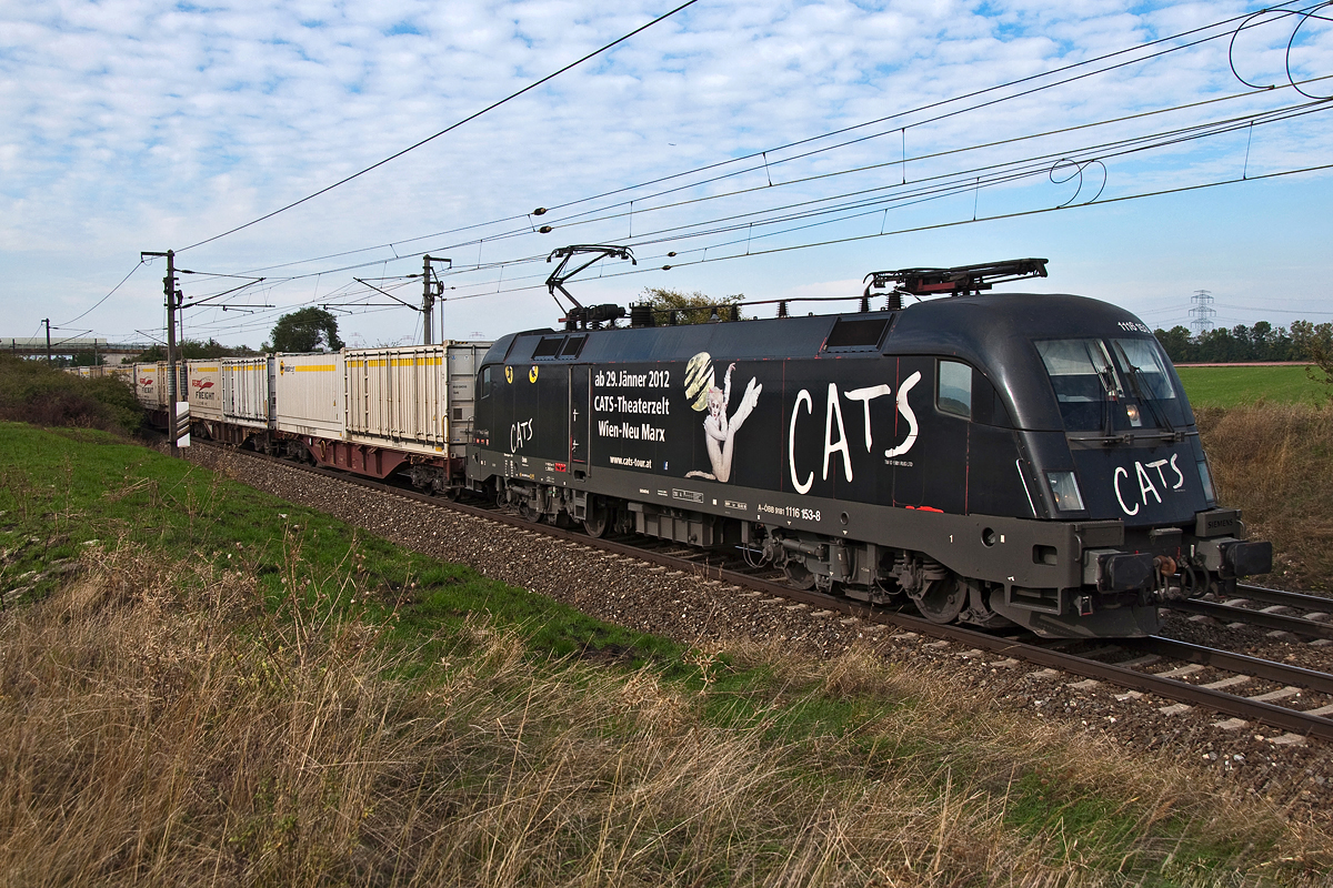 1116 153  Cats  mit einem Agrofreight Ganzzug, unterwegs in Richtung Gramatneusiedl bei Himberg. Die Aufnahme entstand am 01.10.2013.