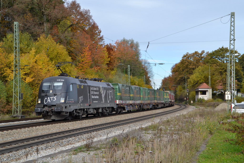 1116 153  Cats  mit einem KV-Zug am 22.10.2013 in Aßling(Oberbay). 
