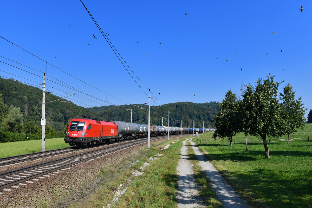 1116 163 mit einem Kesselzug am 31.07.2018 bei Wernstein am Inn. 