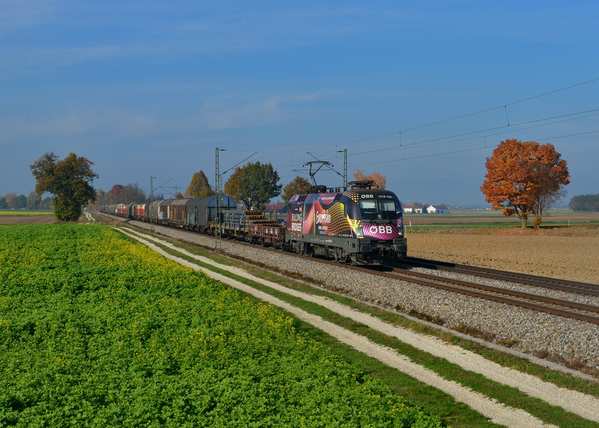 1116 180 mit EZ 44907 am 28.10.2015 bei Langenisarhofen. 