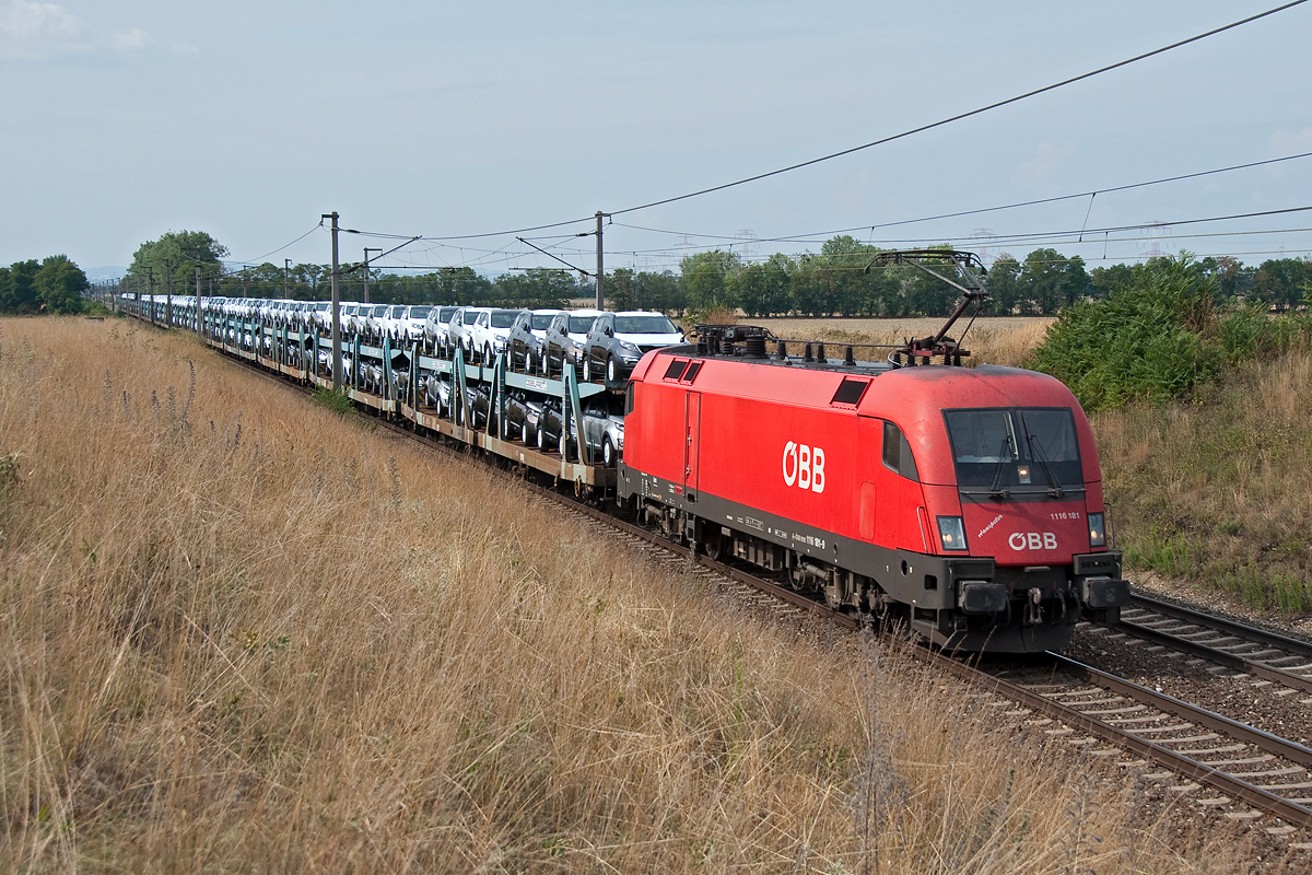 1116 181  Hanspeter  fährt mit einem Autozug kurz vor Gramatneusiedl in Richtung Osten. Die Aufnahme entstand am 21.08.2015.