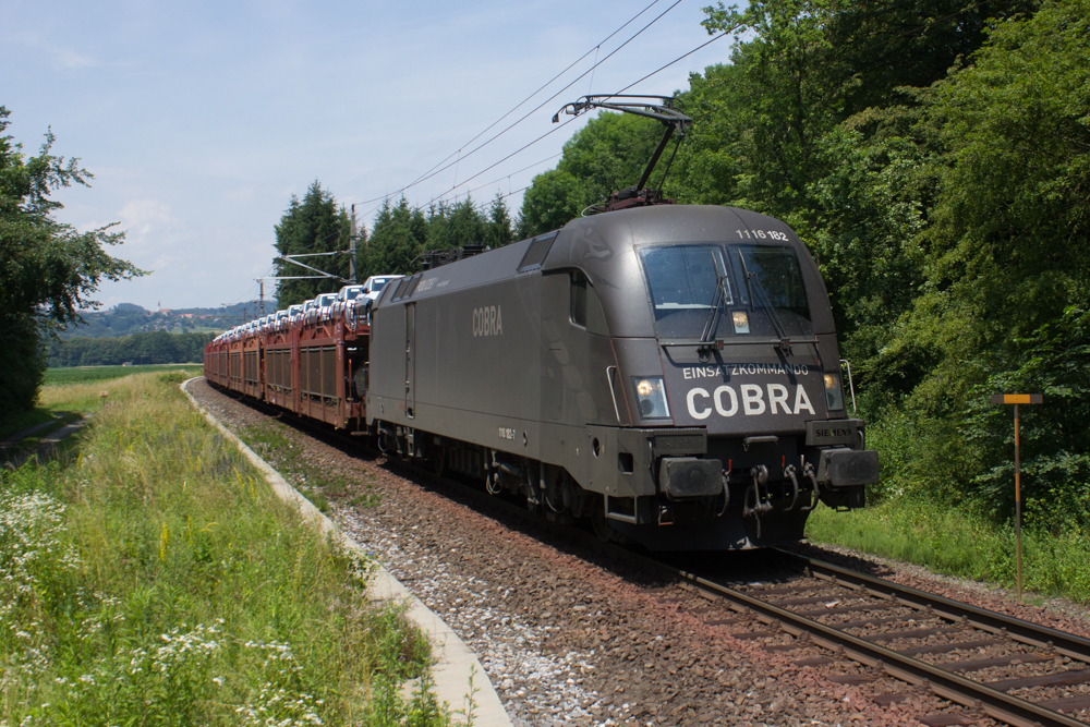 1116 182  COBRA  mit dem Autozug 49481, fotografiert bei Wagna. 28.Juni 2014.
