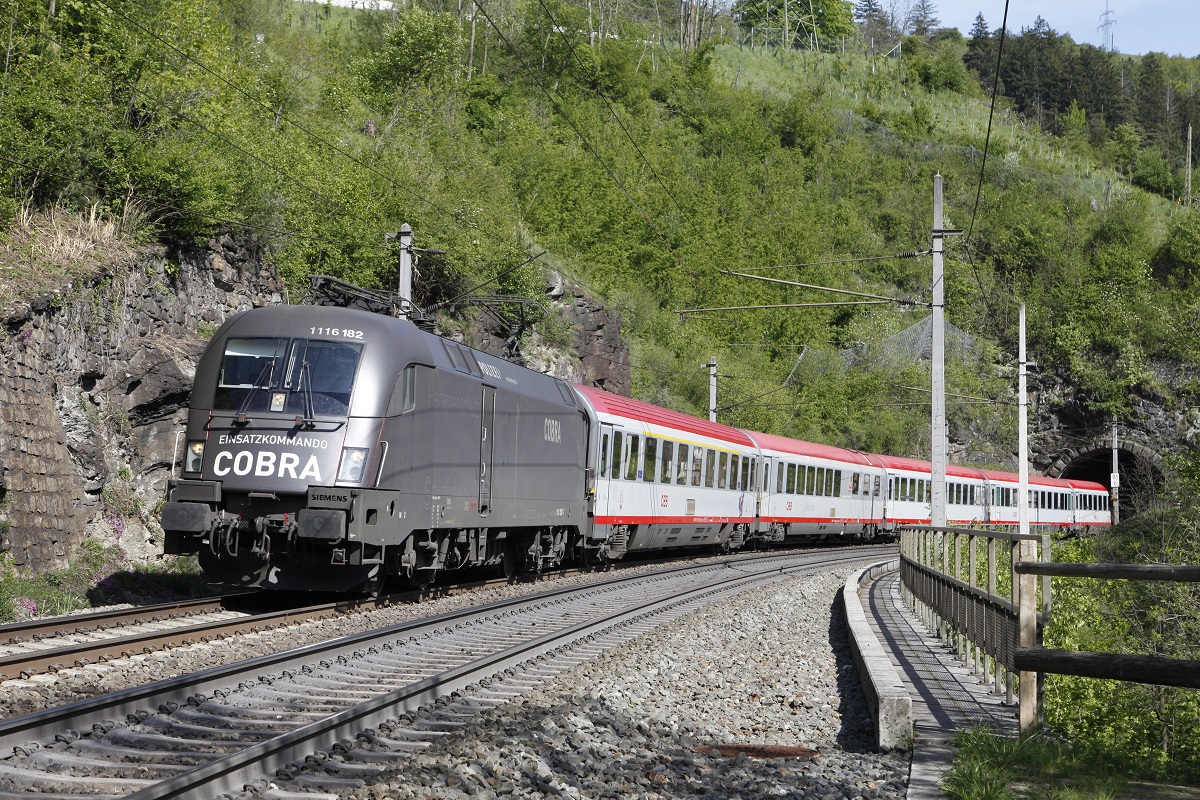 1116 182 (Copra) mit EC84 bei Unterberg Stefansbrücke am 5.05.2014.