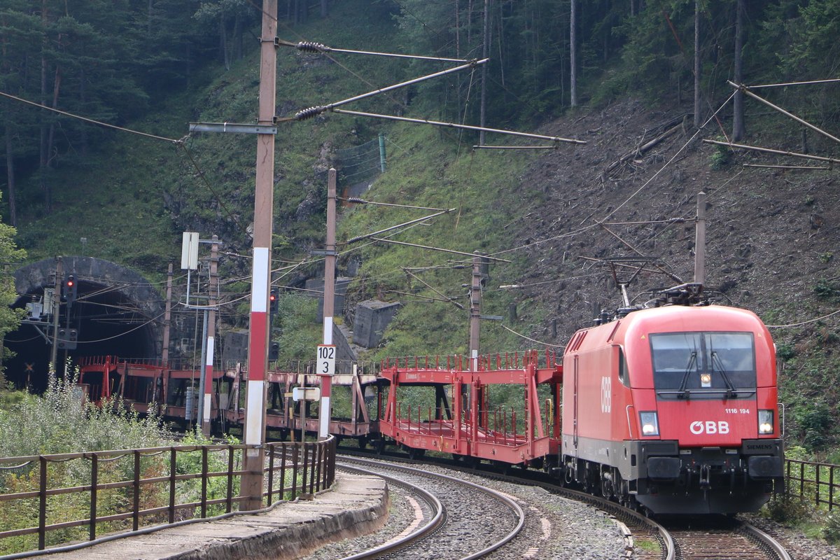 1116 194 brachte am 4. September 2016 einen leeren Autozug über den Semmering, und wurde unweit der Haltestelle Wolfsbergkogel aufgenommen. 