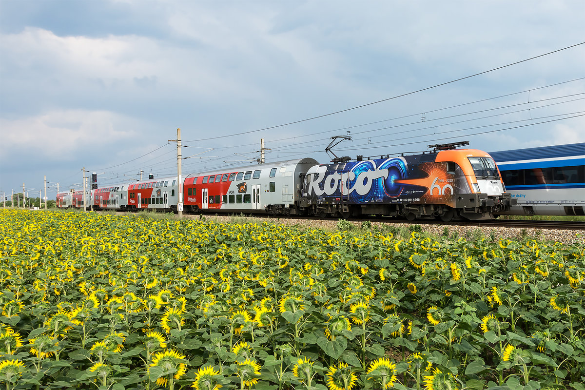 1116 199   60 Jahre Roco  mit railjet als Hintergrund;-) als R 2355 am 25.07.2020 kurz vor Wien Süßenbrunn. 