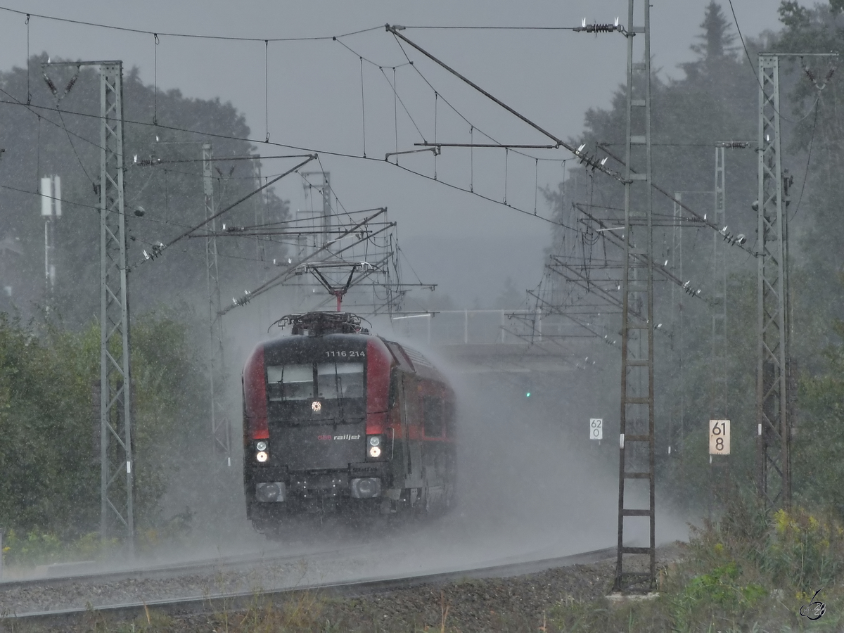 1116 214 kämpft sich Mitte August 2020 bei Fuchsreut durch den Regen.