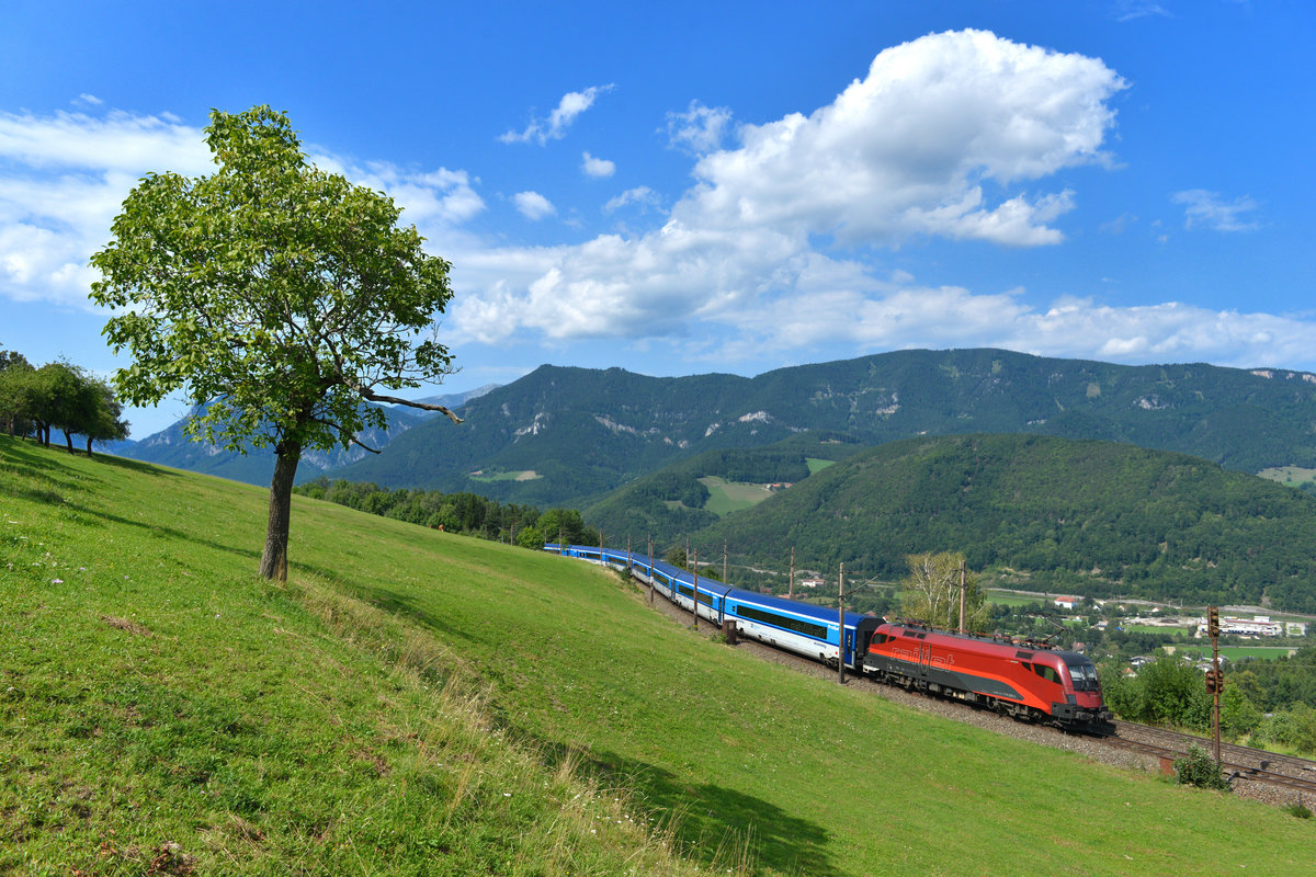 1116 229 mit einem CD RJ am 26.08.2017 bei Eichberg. 
