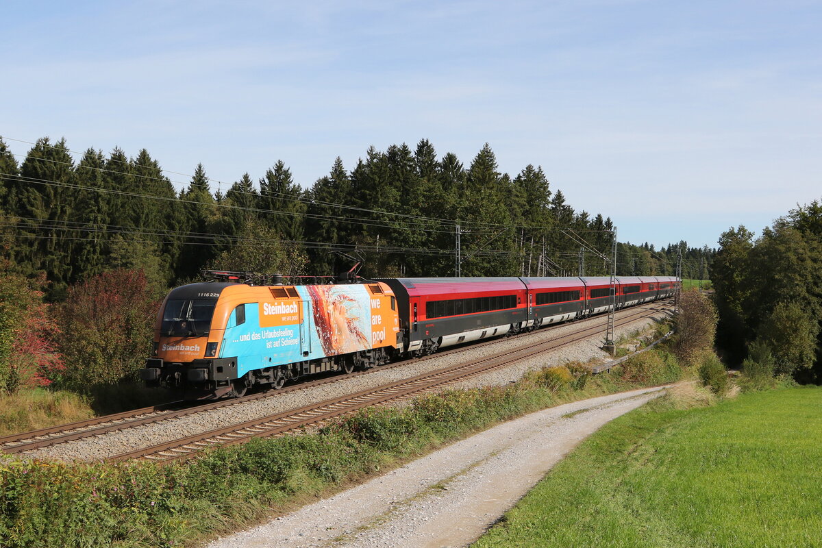 1116 229  Steinbach  aus Salzburg kommend am 1. Oktober 2021 bei Grabenstätt.