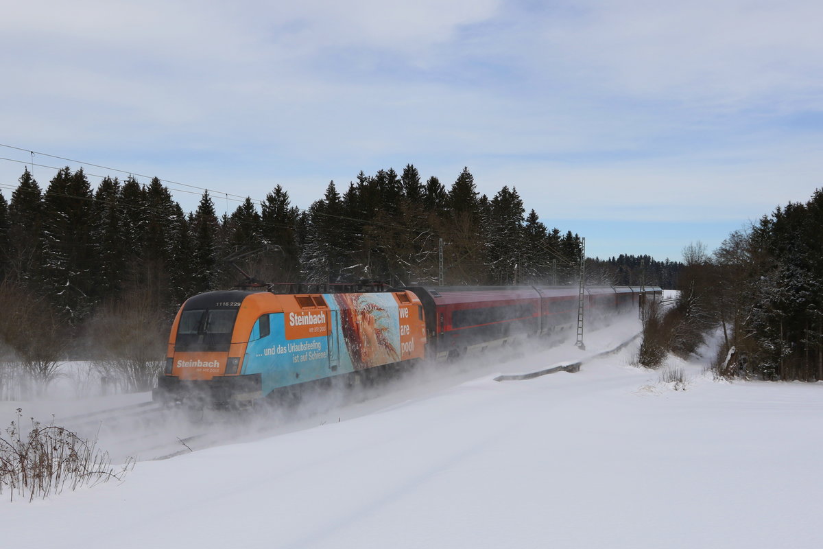 1116 229  Steinbach  schob am 27. Januar 2021 bei Grabenstätt einen  Railjet  in Richtung Salzburg.
