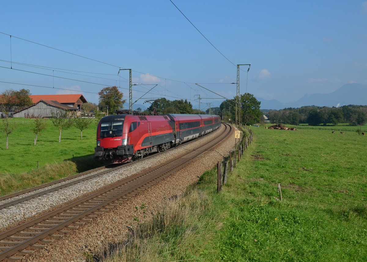 1116 230 mit einem Railjet nach München am 03.10.2014 bei Straß.