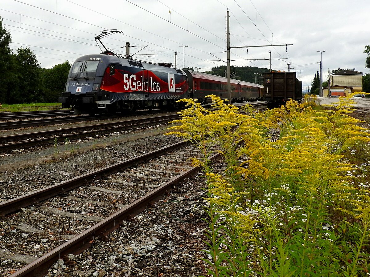 1116 231  A1 5Giganetz  schiebt RJX765 durch den Bhf. Timelkam; 210829