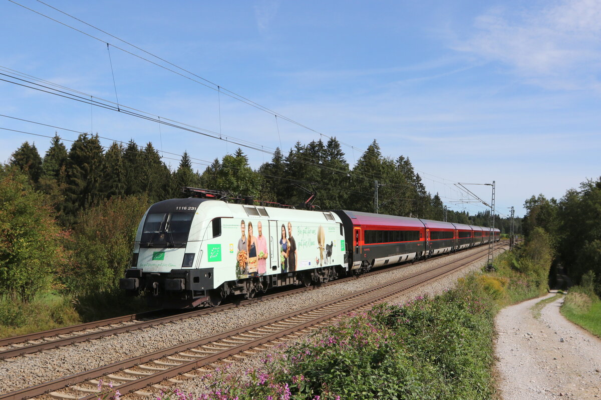 1116 231  BIO Austria  am 12. September 2022 bei Grabenstätt im Chiemgau.