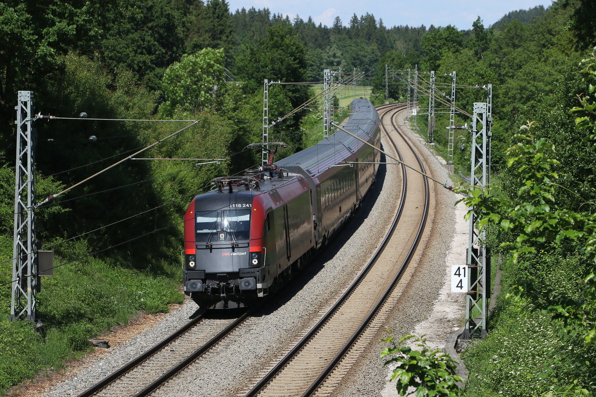 1116 241 am 2. Juni 2020 bei Grabenstätt im Chiemgau.