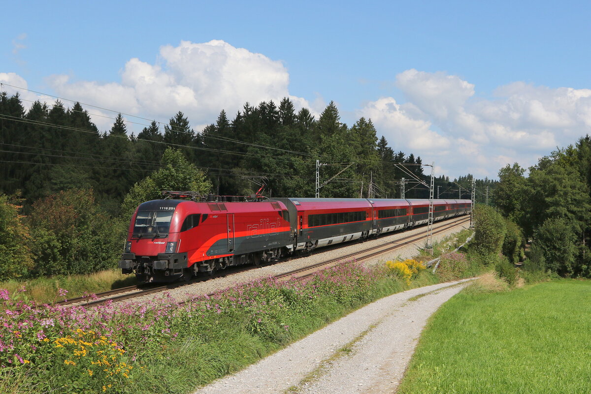 1116 251 aus Salzburg kommend am 1. September 2021 bei Grabenstätt im Chiemgau.