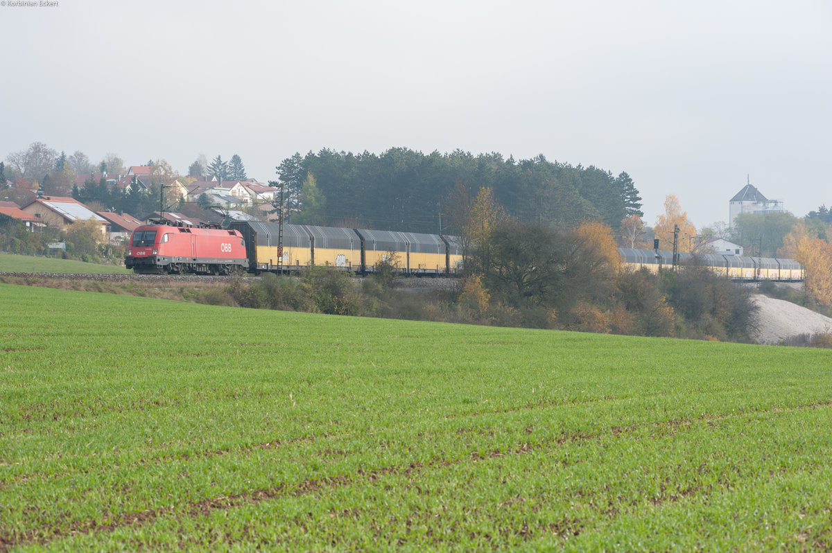 1116 259 mit einem Altmann Autozug bei Laaber Richtung Nürnberg, 04.11.2016