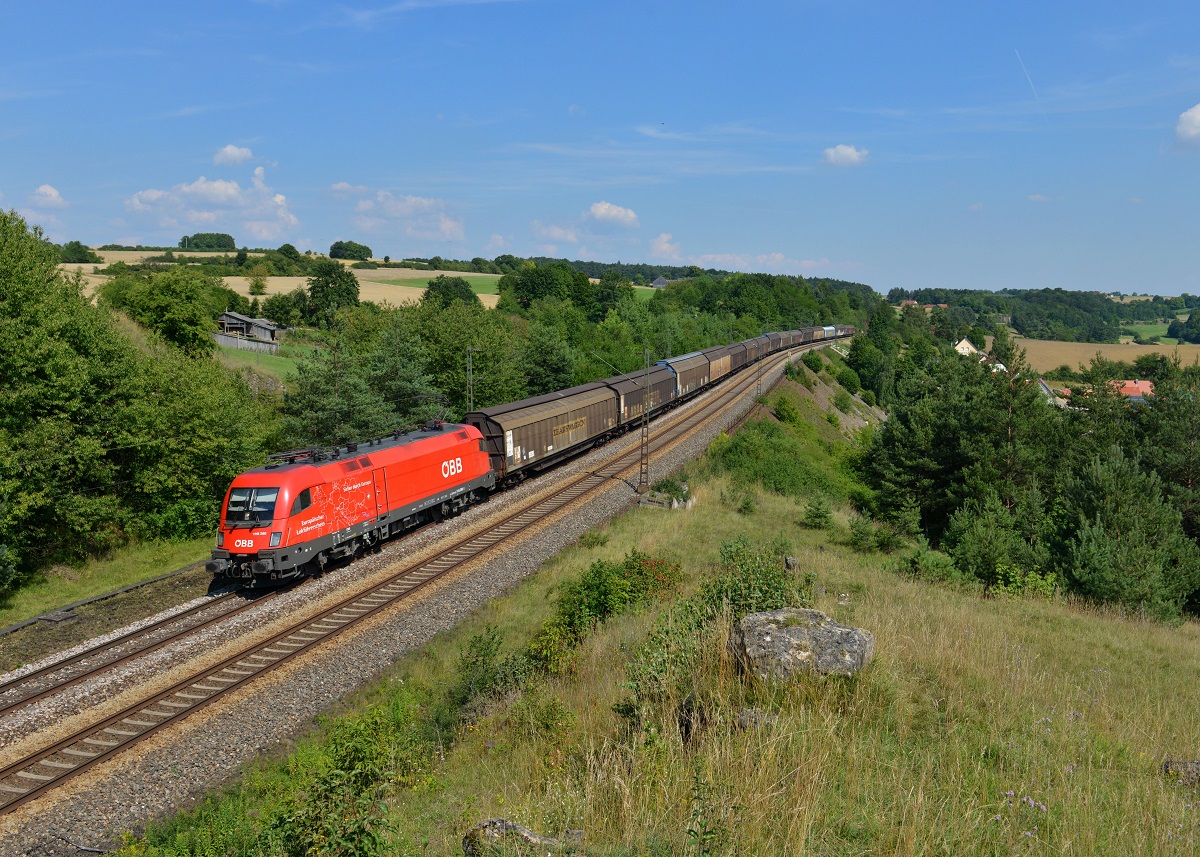 1116 260 mit einem Schiebewandwagenzug am 18.07.2014 bei Laaber.