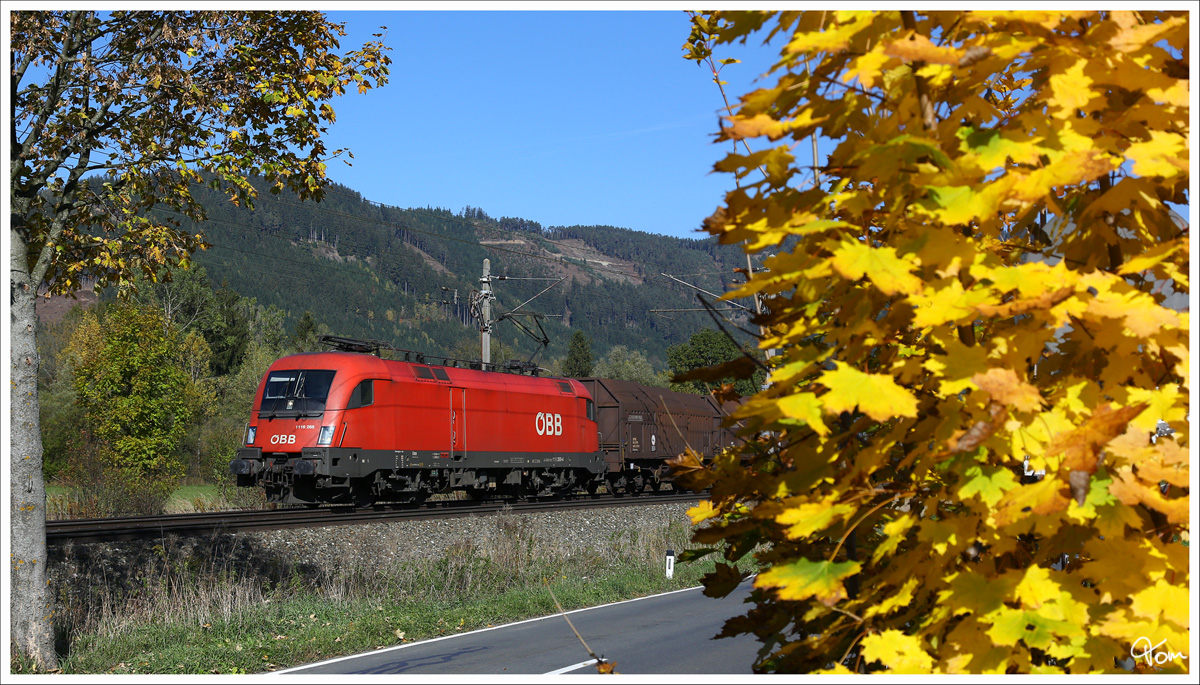 1116 268 braust mit einem Gterzug durch das herbstliche Murtal. 
St Lorenzen 10_2013