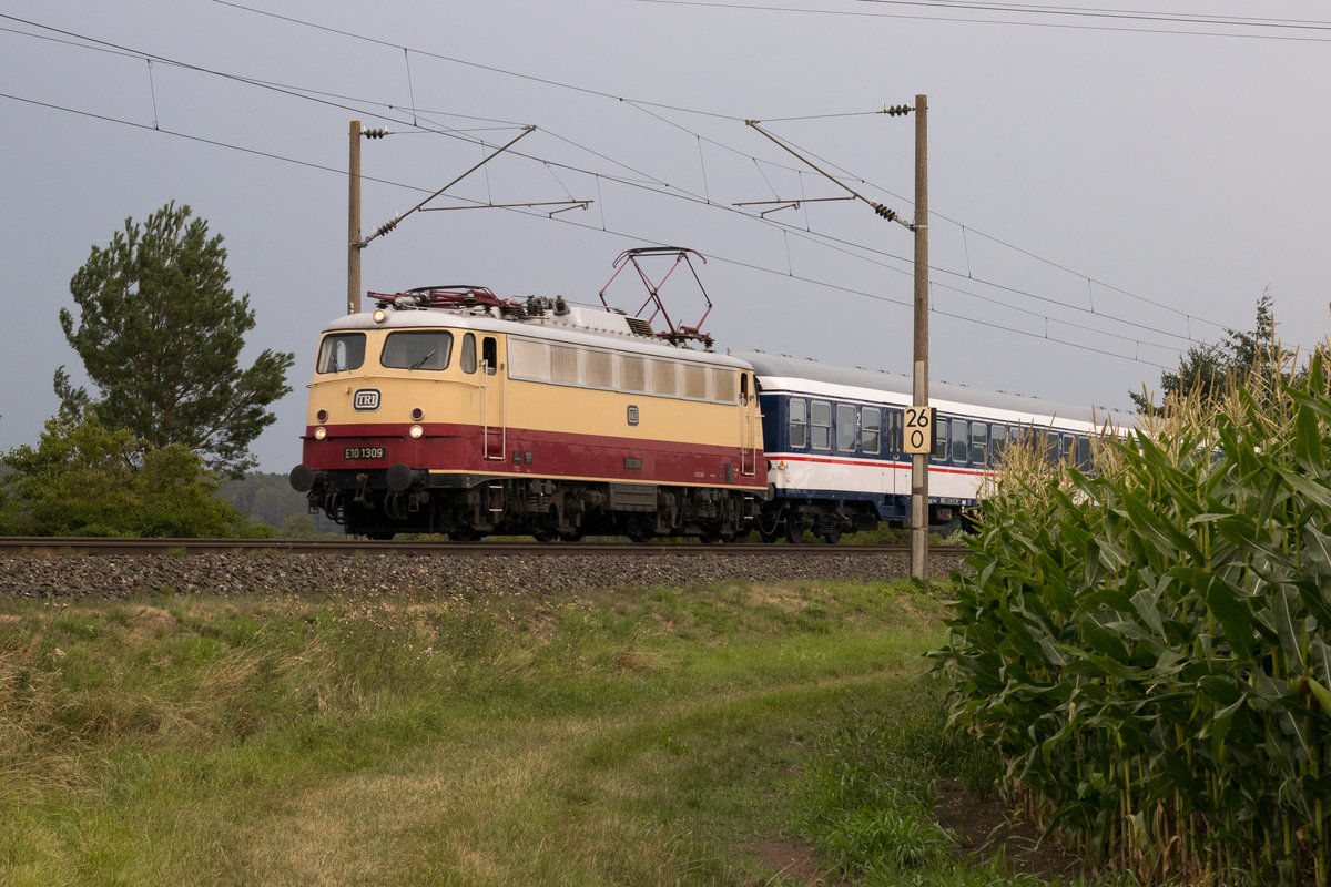 113 309-9 (E10 1309) - Laubenzedel 11.08.20