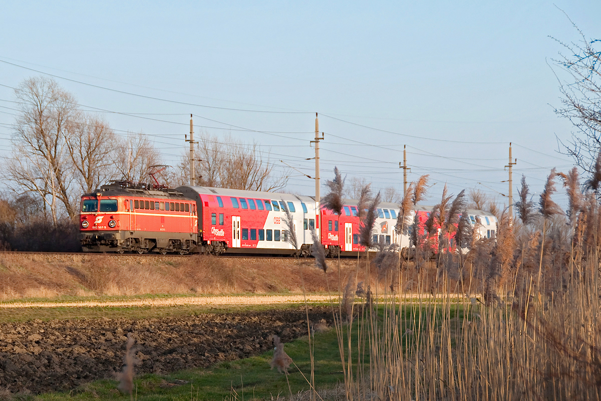 1142 567 mit dem REX 2118, zwischen Tulln und Absdorf-Hippersdorf, am Nachmittag des 04.03.2016, unterwegs nach Gmünd.