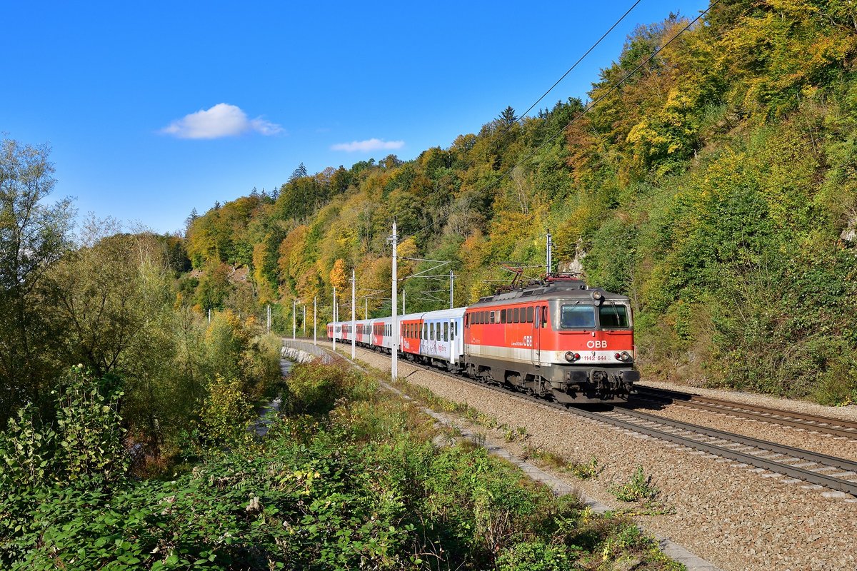 1142 644 mit einem REX am 19.10.2020 bei Ingling.