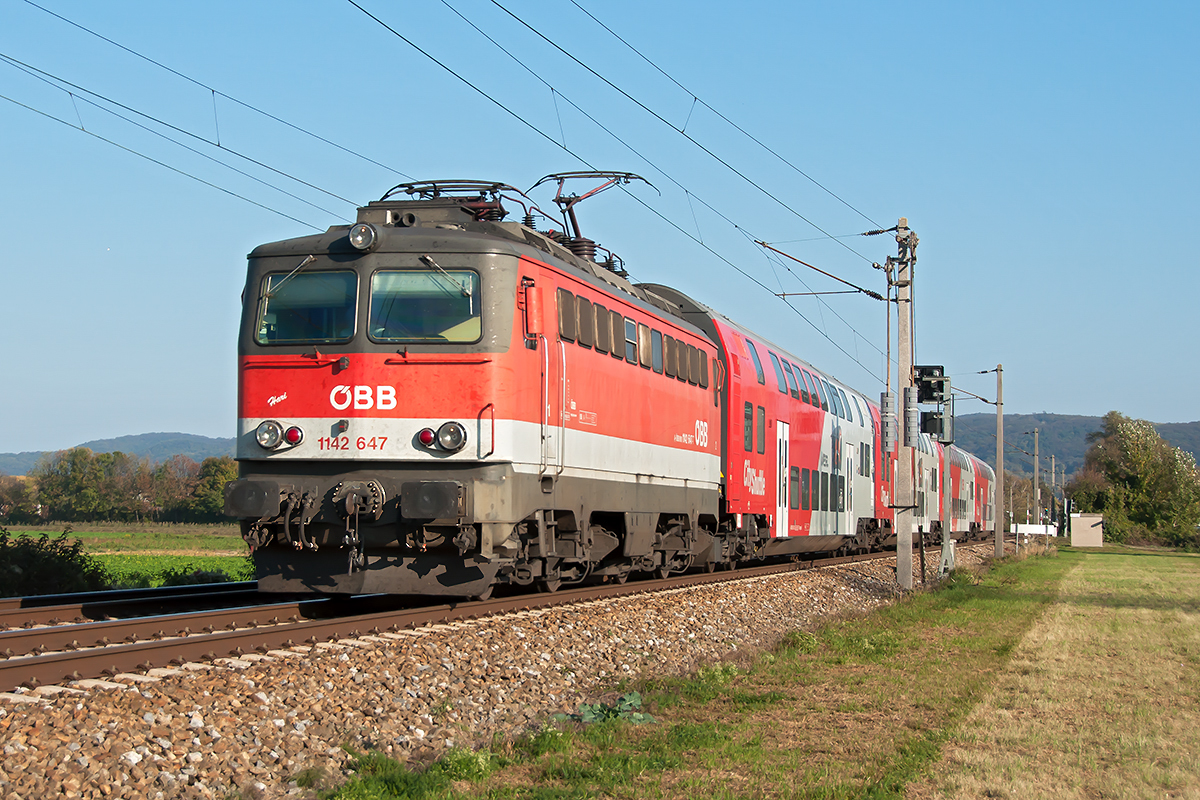 1142 647  Hari  mit dem REX 2828 (Wien FJB-Krems/Donau), am 22.10.2018 kurz nach Zeiselmauer-Königstetten.