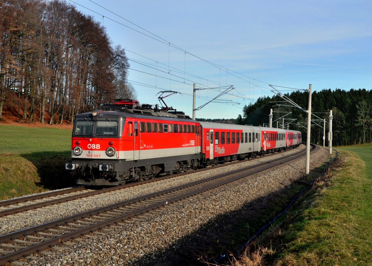 1142 667 mit einem Meridian-Ersatzzug am 24.12.2013 bei Axdorf.