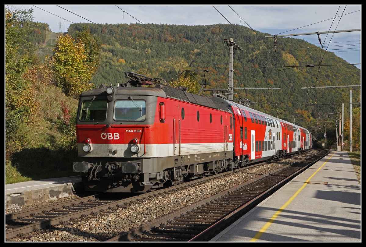 1144 239 mit REX in Schlöglmühl am 17.10.2019.