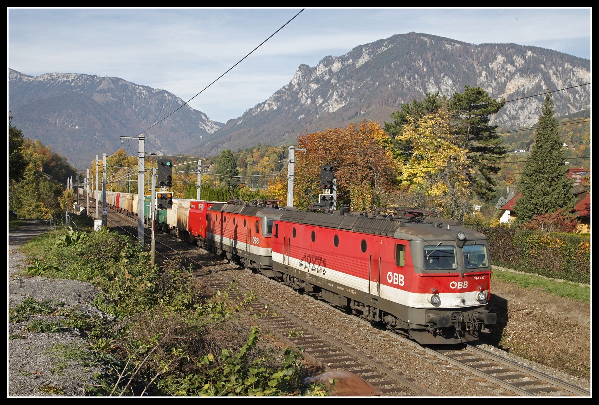 1144 247 + 1144 099 mit Güterzug bei Payerbach am 22.10.2019.