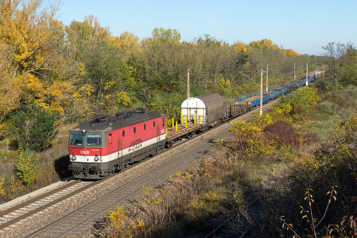 1144 247 konnte an diesem sonnigen Nachmittag zwischen fotografisch festgehalten werden. Das Foto entstand am 28.10.2020 zwischen der Haltestelle Silberwald und Strasshof.