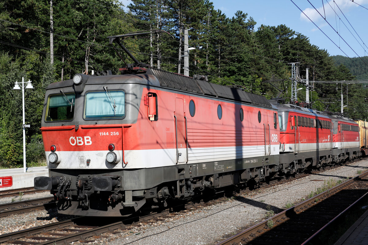 1144 256 unterstützt von zwei 1142 zieht einen Güterzug von Gloggnitz kommend Richtung Semmering durch den Bahnhof Payerbach Reichenau.