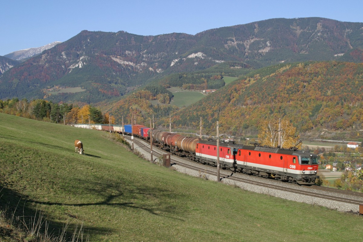 1144.104+231 fahren mit G-55501 bei der herbstlichen Apfelwiese am Eichberg bergwärts. 31.10.15
