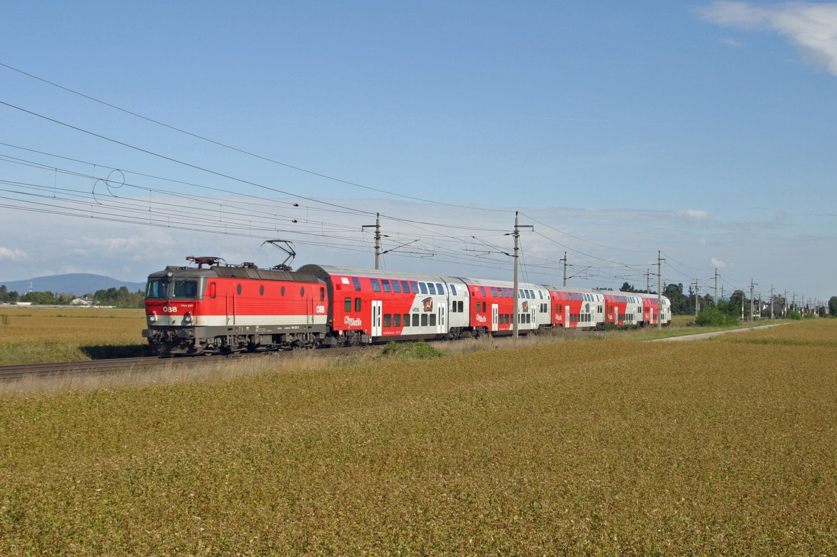 1144.207 fährt mit R-2317 bei klaren Herbstwetter vor Wr.Neustadt nach Payerbach/R. am 21.9.14