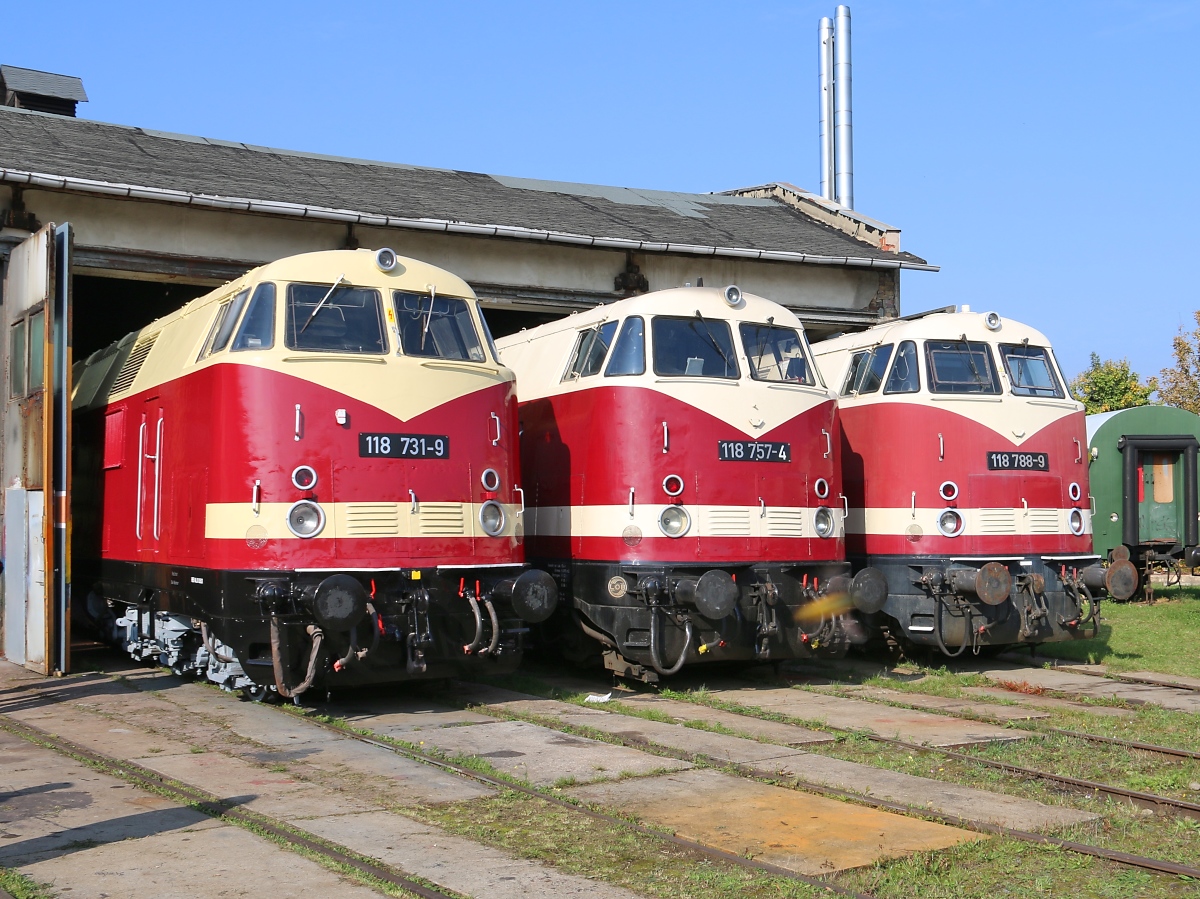 118 731-9, 118 757-4 und 118 788-9 aufgereiht im Lokschuppen des Bahnbetriebswerks Weimar anlässlich des Tags der offenen Tür am 10.10.2015.