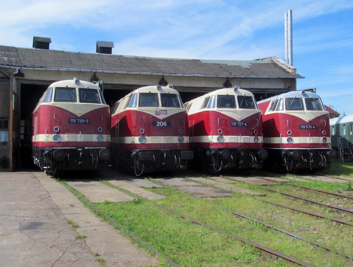 118 788-9, MEG 206 (228 748-0), 118 757-4 und 118 578-4 stehen am 25. Mai 2014 im Bw Weimar.