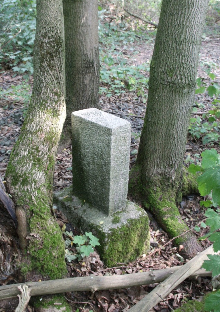 11.8.2015. Alter Nummerstein bei Schauen, umrahmt von Bäumen, vielleicht noch von 1869, dem Eröffnungsjahr der Strecke Halle - Vienenburg.