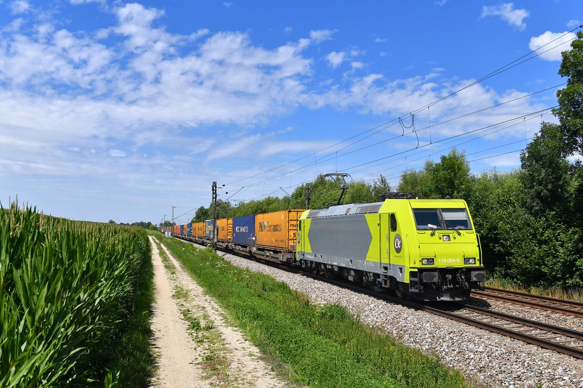 119 004 (185 623) mit DGS 40677 am 08.07.2018 bei Langenisarhofen.